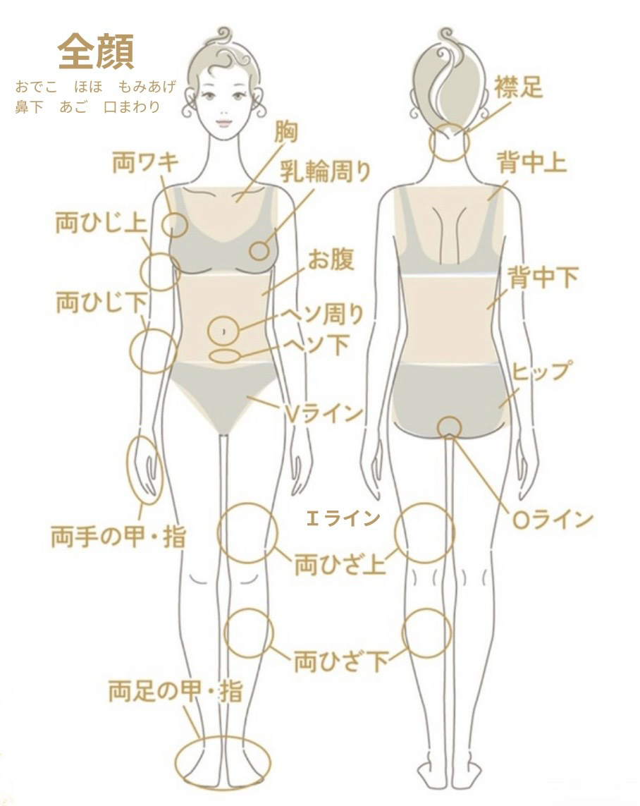 脱毛施術可能箇所一覧